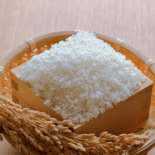 水稲 収穫量