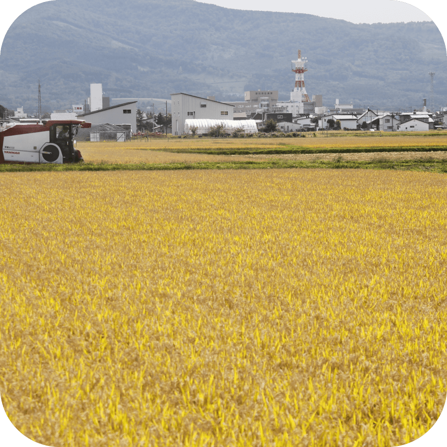 生産量と技術。全国トップクラスの米作り
